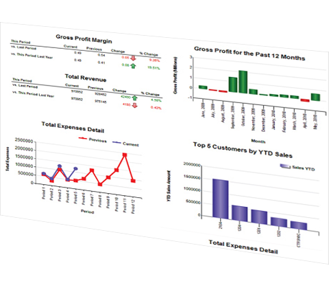 Ms Dynamics Dashboard Business Edited